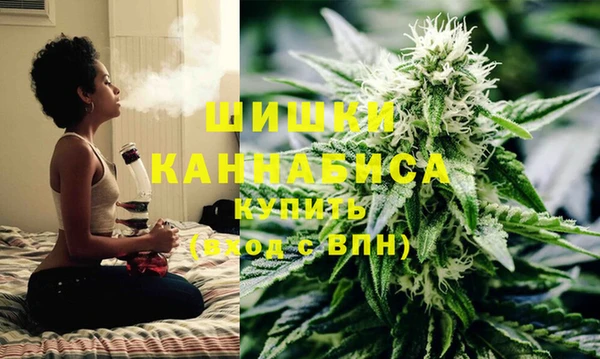 Альфа ПВП Шали