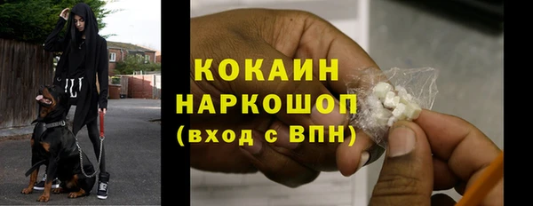 PSILOCYBIN Аркадак