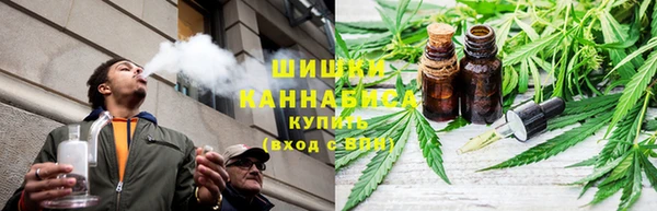 Альфа ПВП Шали
