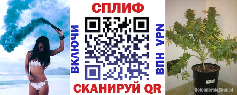 Бошки Шишки Amnesia  мориарти телеграм  Холм 